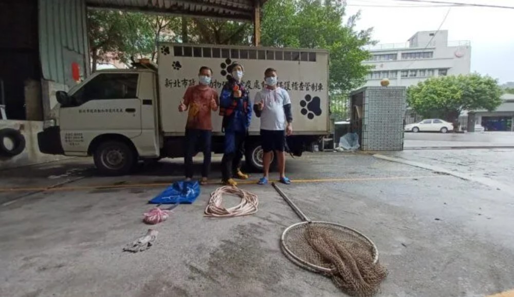 Berkat dukungan dua pekerja migran asing, mereka berhasil menyelamatkan anjing-anjing liar yang jatuh ke selokan besar.  Sumber foto : New Taipei City Government Animal Protection and Health Inspection Office